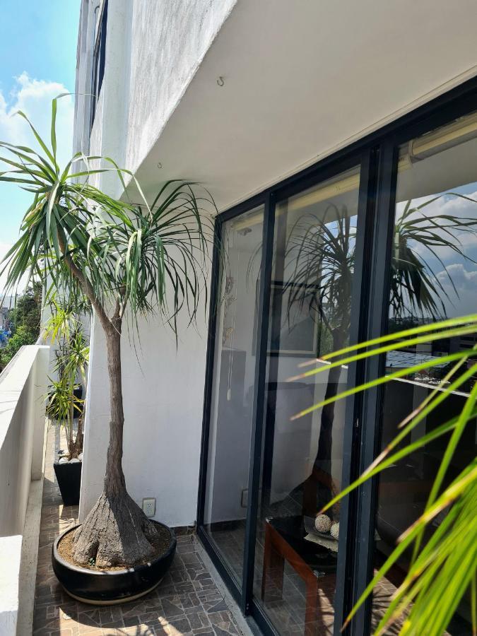 מקסיקו סיטי Excelente Ubicacion En Colonia Del Valle מראה חיצוני תמונה